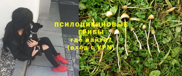 мескалин Михайлов
