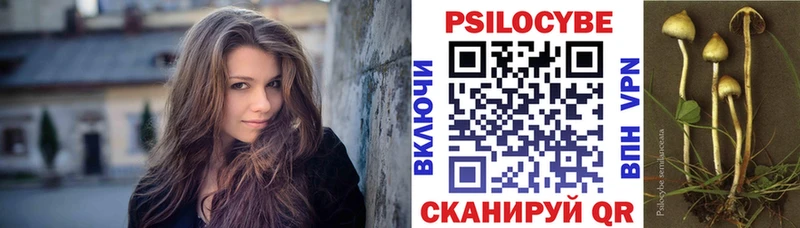 Галлюциногенные грибы Psilocybe  как найти   Данков 