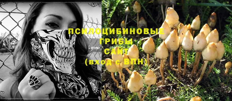 Галлюциногенные грибы MAGIC MUSHROOMS  Данков 